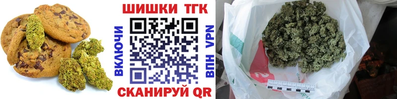 где можно купить наркотик  Элиста  OMG tor  Печенье с ТГК марихуана 
