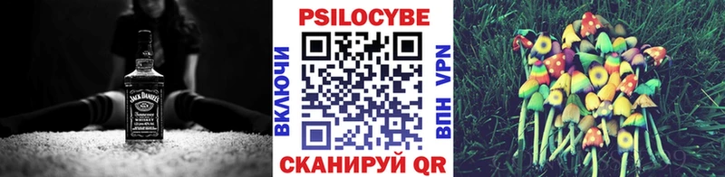 наркошоп  Элиста  Галлюциногенные грибы Psilocybe 