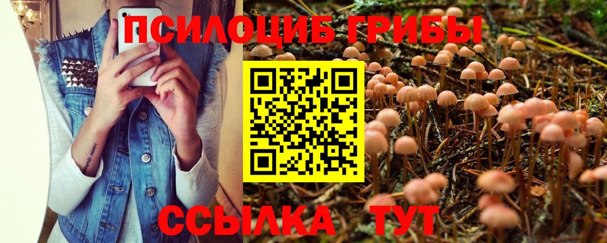 Элиста  Псилоцибиновые грибы Psilocybine cubensis  Вход с VPN  Галлюциногенные грибы мицелий 